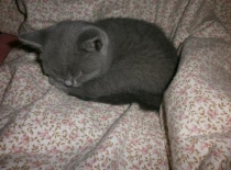 Pak se pěkně prospím :-)