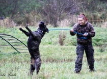 Pluto (Alfik) v akci.