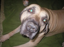 Alejandro zari 2010 016