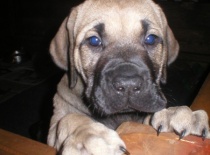 Cecilka,já jsem tu! Halo,paničko!