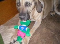 Lex cervenec 2010 005