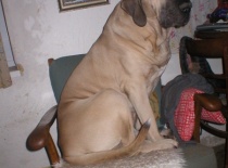 Lexik prosinec 2010 001