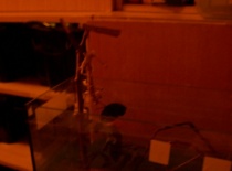 HOLT SE ZAČLA Sfékat na zemi tak jsem jí pomohl...