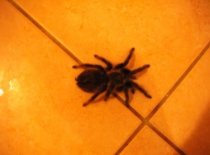 530016 401638266514743 100000057197491 1595704 345831051 n