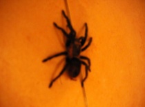 533102 401639316514638 100000057197491 1595720 1234587776 n