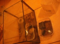 541671 401639296514640 100000057197491 1595719 30523049 n