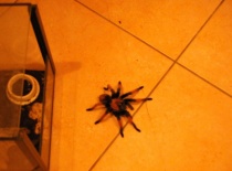 551383 401638356514734 100000057197491 1595707 1020733768 n