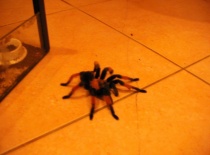 555829 401638446514725 100000057197491 1595710 281411530 n