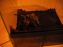 558582 401638176514752 100000057197491 1595701 957009936 n