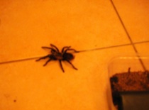 558582 401639023181334 100000057197491 1595715 2111113732 n