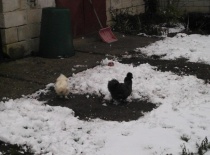 429622 372025762809327 100000057197491 1499437 452585111 n