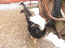 429805 372025702809333 100000057197491 1499435 1912485452 n