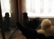 430182 360559343955969 100000057197491 1466947 2000672187 n