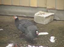 431355 372025952809308 100000057197491 1499443 147560104 n