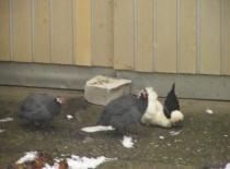 431615 372025939475976 100000057197491 1499442 521616042 n