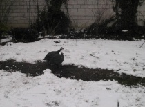 Po cestě at nás nestudí nohy...