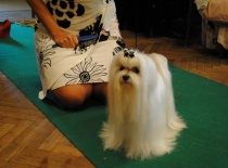 Rominka v dobrém rozmaru