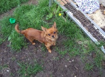 Dsc00221 017.igallery.image0000009  600x  logo  server haficicz