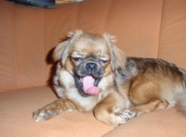 12313 111685198848030 100000196518643 260119 6473832 n