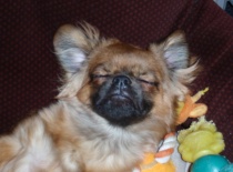 12313 111686075514609 100000196518643 260128 658415 n