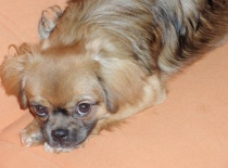 24758 116694991680384 100000196518643 285734 6369333 n