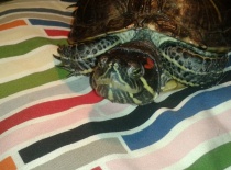 2012 08 05 20.45.54 1